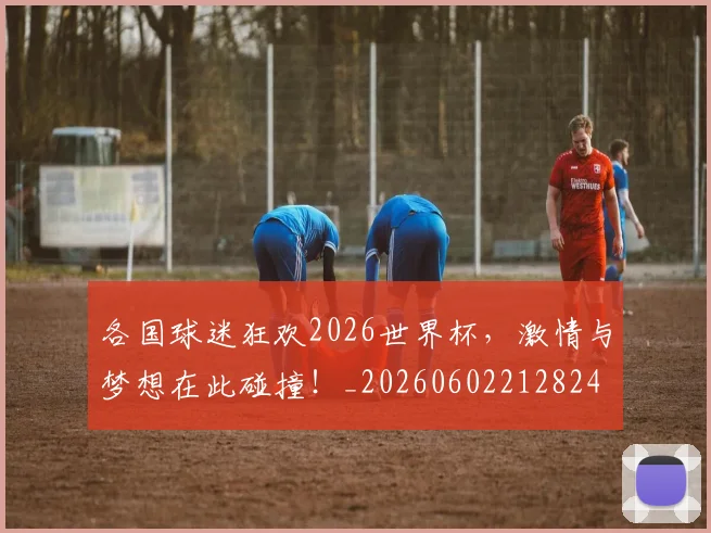 各国球迷狂欢2026世界杯，激情与梦想在此碰撞！_20260602212824