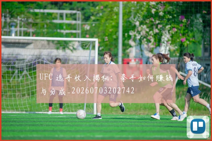 UFC 选手收入揭秘:拳手如何赚钱与分成_20260703202742