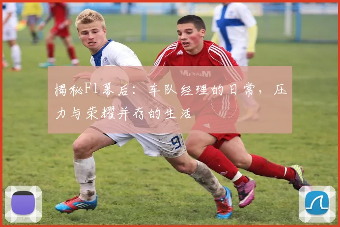 揭秘F1幕后：车队经理的日常，压力与荣耀并存的生活