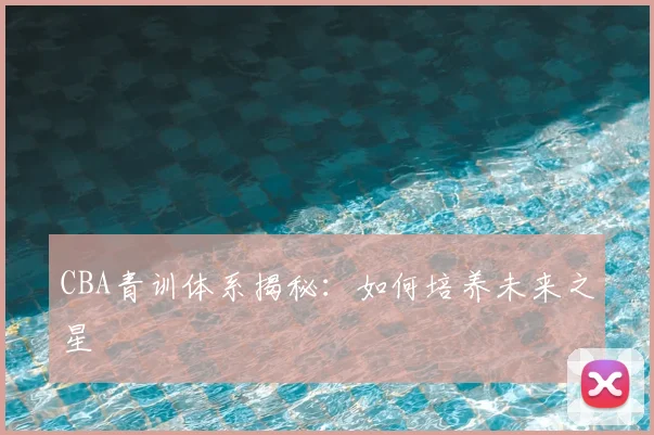 CBA青训体系揭秘:如何培养未来之星