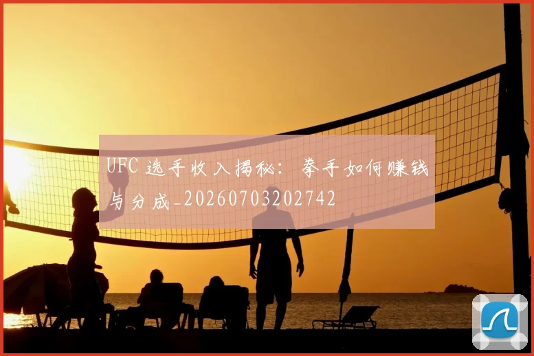 UFC 选手收入揭秘：拳手如何赚钱与分成_20260703202742